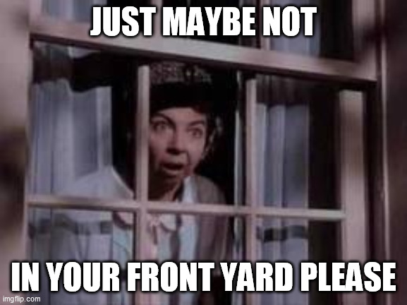 nosy neighbor | JUST MAYBE NOT IN YOUR FRONT YARD PLEASE | image tagged in nosy neighbor | made w/ Imgflip meme maker