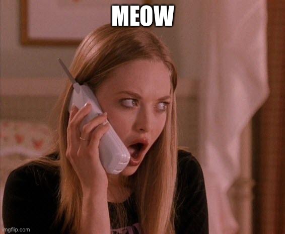 karen from mean girls | MEOW | image tagged in karen from mean girls | made w/ Imgflip meme maker