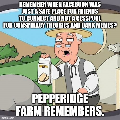 Pepperidge Farm Remembers Meme | REMEMBER WHEN FACEBOOK WAS JUST A SAFE PLACE FOR FRIENDS TO CONNECT AND NOT A CESSPOOL FOR CONSPIRACY THEORIES AND DANK MEMES? PEPPERIDGE FARM REMEMBERS. | image tagged in memes,pepperidge farm remembers | made w/ Imgflip meme maker