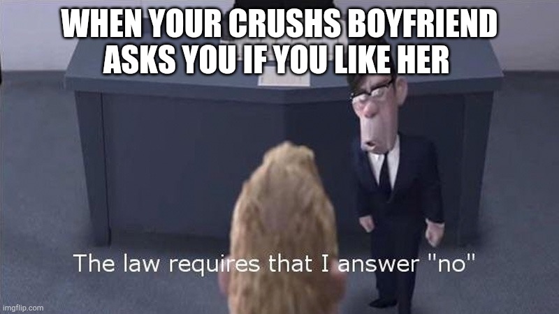 The Law Requires | WHEN YOUR CRUSHS BOYFRIEND ASKS YOU IF YOU LIKE HER | image tagged in the law requires | made w/ Imgflip meme maker