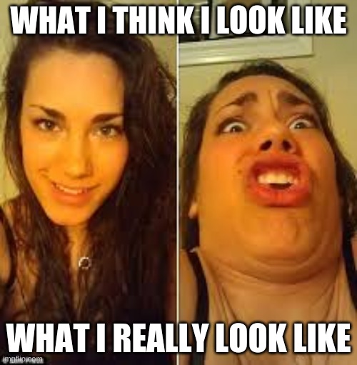ugly face | WHAT I THINK I LOOK LIKE; WHAT I REALLY LOOK LIKE | image tagged in ugly face | made w/ Imgflip meme maker