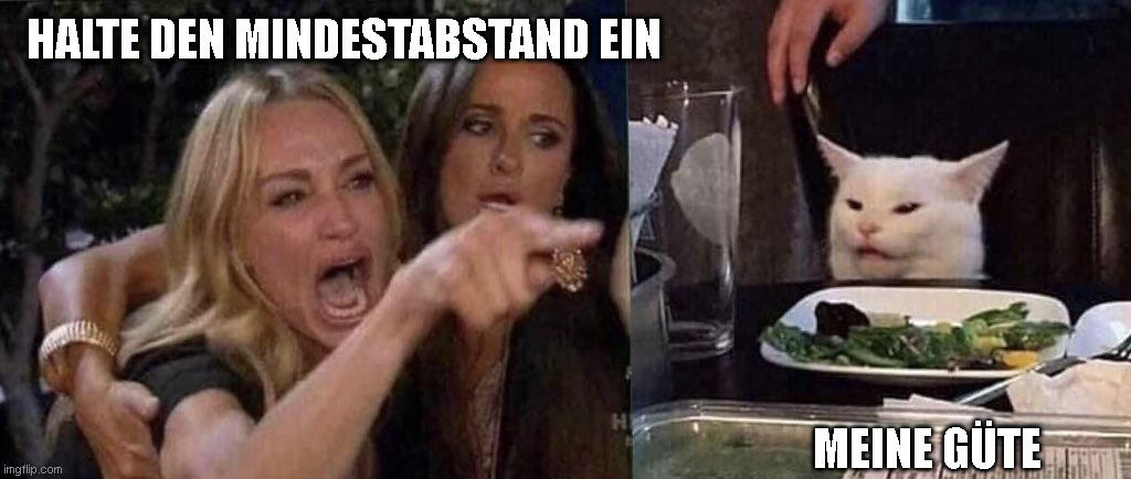 woman yelling at cat | HALTE DEN MINDESTABSTAND EIN MEINE GÜTE | image tagged in woman yelling at cat | made w/ Imgflip meme maker