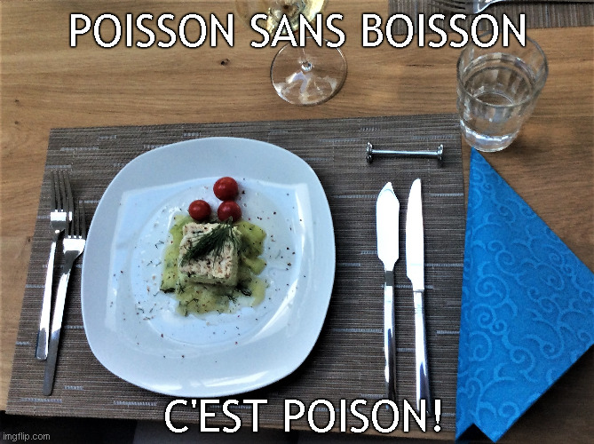The Most Important French Lesson Ever | POISSON SANS BOISSON; C'EST POISON! | image tagged in memes,proverb | made w/ Imgflip meme maker