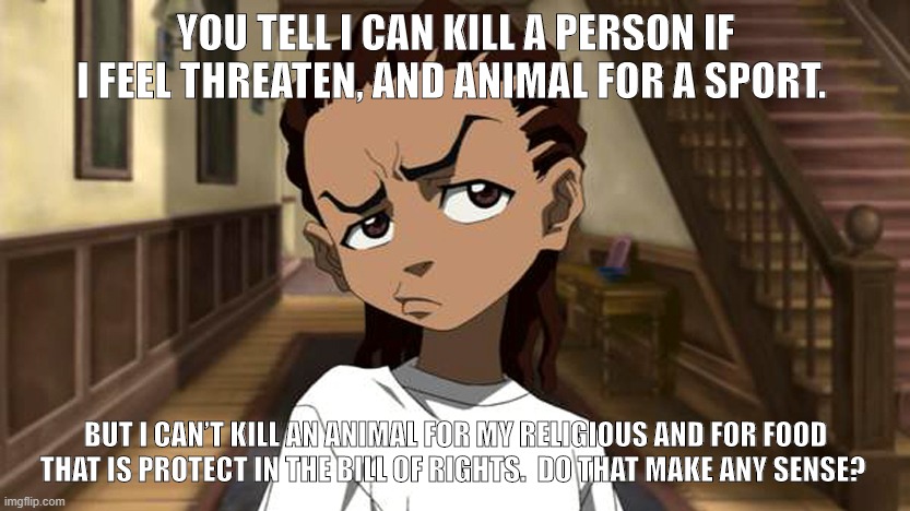 Boondocks_Riley_Freeman | YOU TELL I CAN KILL A PERSON IF I FEEL THREATEN, AND ANIMAL FOR A SPORT. BUT I CAN’T KILL AN ANIMAL FOR MY RELIGIOUS AND FOR FOOD THAT IS PROTECT IN THE BILL OF RIGHTS.  DO THAT MAKE ANY SENSE? | image tagged in boondocks_riley_freeman | made w/ Imgflip meme maker