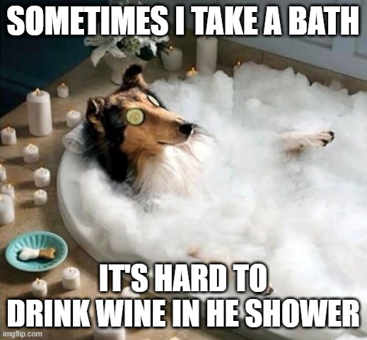 Dog Bath | SOMETIMES I TAKE A BATH; IT'S HARD TO DRINK WINE IN HE SHOWER | image tagged in dog bath | made w/ Imgflip meme maker