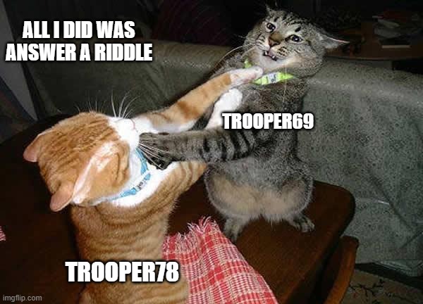 Two cats fighting for real | ALL I DID WAS ANSWER A RIDDLE; TROOPER69; TROOPER78 | image tagged in two cats fighting for real | made w/ Imgflip meme maker