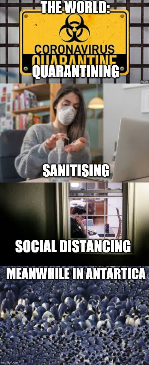 they have no idea | THE WORLD:; QUARANTINING; SANITISING; SOCIAL DISTANCING; MEANWHILE IN ANTARTICA | image tagged in coronavirus,social distancing,penguins,quarantine | made w/ Imgflip meme maker