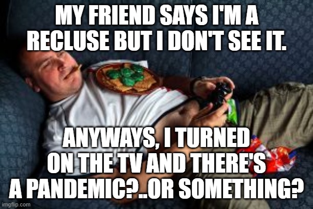 Pandemic? | MY FRIEND SAYS I'M A RECLUSE BUT I DON'T SEE IT. ANYWAYS, I TURNED ON THE TV AND THERE'S A PANDEMIC?..OR SOMETHING? | image tagged in loner,recluse,covid-19 | made w/ Imgflip meme maker