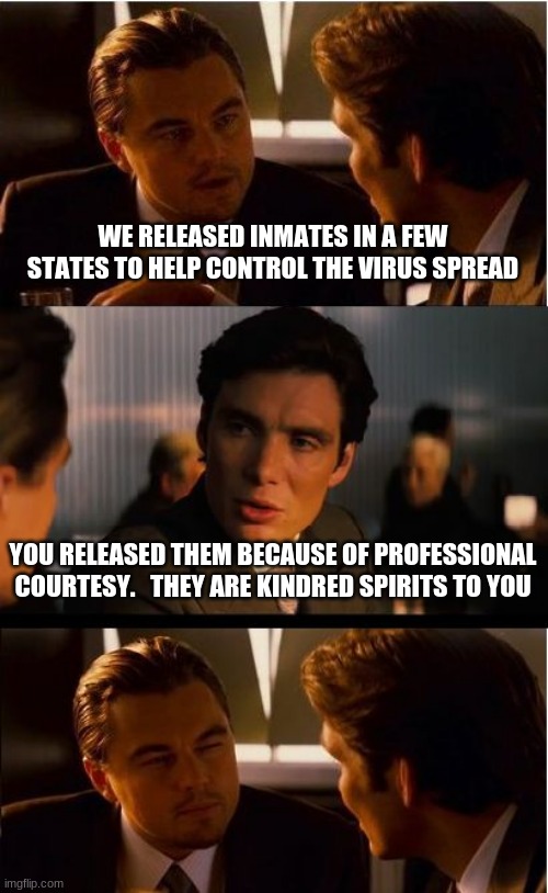 The truth comes out | WE RELEASED INMATES IN A FEW STATES TO HELP CONTROL THE VIRUS SPREAD; YOU RELEASED THEM BECAUSE OF PROFESSIONAL COURTESY.   THEY ARE KINDRED SPIRITS TO YOU | image tagged in memes,inception,truth,congressional criminals,this will end badly,your level of risk just went upwards | made w/ Imgflip meme maker