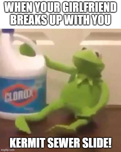 When Your Girlfriend Breaks Up With You | WHEN YOUR GIRLFRIEND BREAKS UP WITH YOU; KERMIT SEWER SLIDE! | image tagged in kermit sewer slide | made w/ Imgflip meme maker