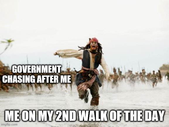 Jack Sparrow Being Chased Meme | GOVERNMENT CHASING AFTER ME; ME ON MY 2ND WALK OF THE DAY | image tagged in memes,jack sparrow being chased | made w/ Imgflip meme maker