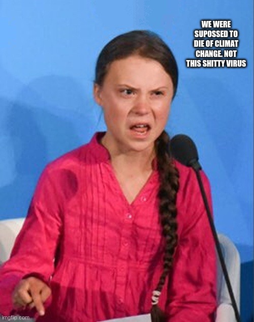 idk what to name it | WE WERE SUPOSSED TO DIE OF CLIMAT CHANGE. NOT THIS SHITTY VIRUS | image tagged in greta thunberg how dare you,coronavirus,climate change | made w/ Imgflip meme maker