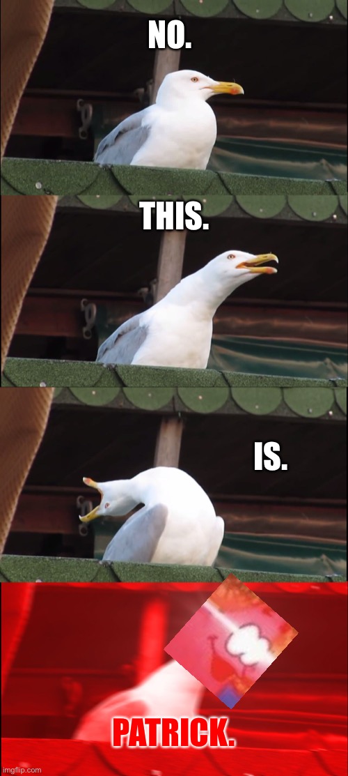 Inhaling Seagull | NO. THIS. IS. PATRICK. | image tagged in memes,inhaling seagull | made w/ Imgflip meme maker