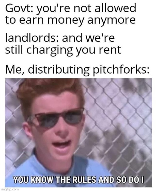 Actually a large number of businesses are refusing to pay their landlords rn so this is based. 1/2 a cringe point for using Rick | image tagged in rick astley,music video,leftist,cringe,rent,too damn high | made w/ Imgflip meme maker