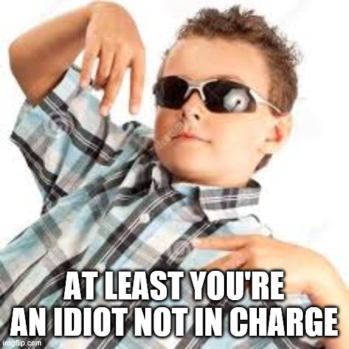 Cool kid sunglasses | AT LEAST YOU'RE AN IDIOT NOT IN CHARGE | image tagged in cool kid sunglasses | made w/ Imgflip meme maker