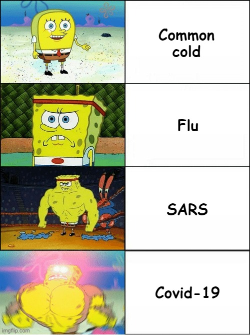 Skipped swine flu and bird flu | Common cold; Flu; SARS; Covid-19 | image tagged in sponge finna commit muder,memes,covid-19,sars,flu | made w/ Imgflip meme maker