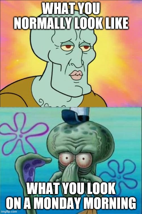 Squidward Meme | WHAT YOU NORMALLY LOOK LIKE; WHAT YOU LOOK ON A MONDAY MORNING | image tagged in memes,squidward | made w/ Imgflip meme maker
