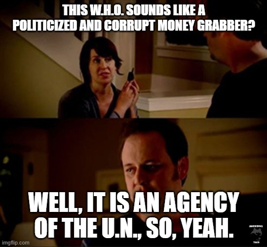 well he's a guy so... | THIS W.H.O. SOUNDS LIKE A POLITICIZED AND CORRUPT MONEY GRABBER? WELL, IT IS AN AGENCY OF THE U.N., SO, YEAH. | image tagged in well he's a guy so | made w/ Imgflip meme maker