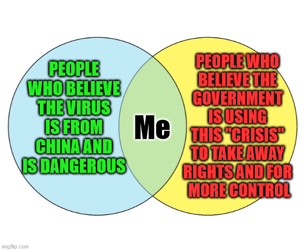 Stuck in the middle with you and wants to start opening up businesses and getting back to normal. | PEOPLE WHO BELIEVE THE VIRUS IS FROM CHINA AND IS DANGEROUS; PEOPLE WHO 
BELIEVE THE 
GOVERNMENT 
IS USING 
THIS "CRISIS" 
TO TAKE AWAY 
RIGHTS AND FOR 
MORE CONTROL; Me | image tagged in blue green venn diagram,middle of nowhere,corona virus | made w/ Imgflip meme maker