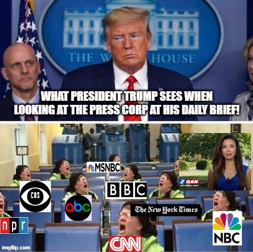 What President Trump Sees Looking At The Press Corp At His Daily Briefs. | image tagged in fake news,cnn fake news,msnbc,stupid liberals,democrats | made w/ Imgflip meme maker