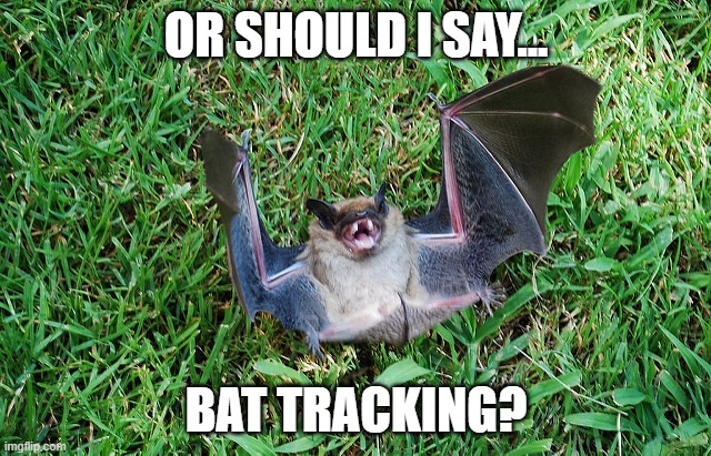 OR SHOULD I SAY... BAT TRACKING? | made w/ Imgflip meme maker