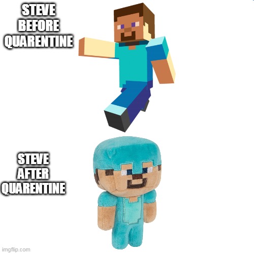 steve before and after quarentine | STEVE BEFORE QUARENTINE; STEVE AFTER QUARENTINE | image tagged in memes,success kid,minecraft,steve,before,quarantine | made w/ Imgflip meme maker