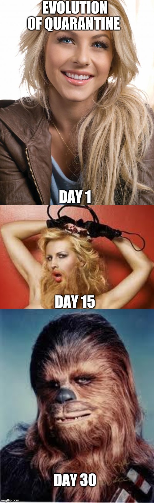 EVOLUTION OF QUARANTINE; DAY 1; DAY 15; DAY 30 | image tagged in memes,oblivious hot girl,chewbacca,bearded lady | made w/ Imgflip meme maker