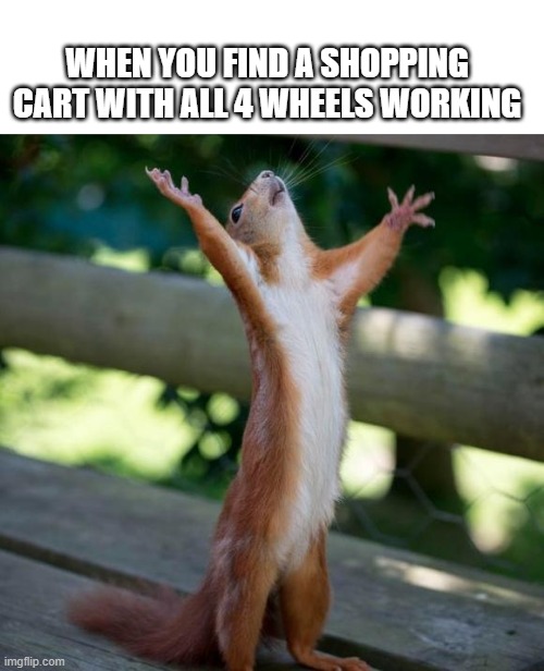 finally | WHEN YOU FIND A SHOPPING CART WITH ALL 4 WHEELS WORKING | image tagged in finally | made w/ Imgflip meme maker