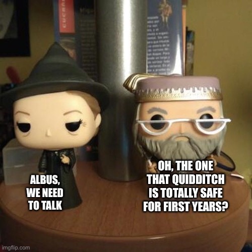 Dumbledore | OH, THE ONE THAT QUIDDITCH IS TOTALLY SAFE FOR FIRST YEARS? ALBUS, WE NEED TO TALK | image tagged in dumbledore | made w/ Imgflip meme maker