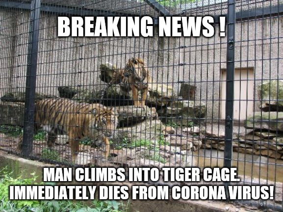Breaking news | BREAKING NEWS ! MAN CLIMBS INTO TIGER CAGE. IMMEDIATELY DIES FROM CORONA VIRUS! | image tagged in memes,coronavirus,tiger,death | made w/ Imgflip meme maker