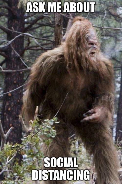Socially distant Sasquatch | ASK ME ABOUT; SOCIAL DISTANCING | image tagged in sasquatch,social distancing,covid-19,memes | made w/ Imgflip meme maker