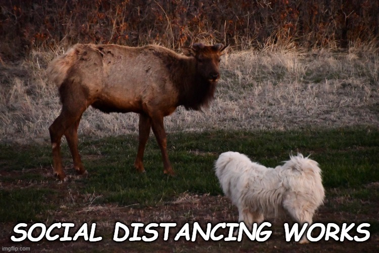 Social Distancing | SOCIAL DISTANCING WORKS | image tagged in social distancing | made w/ Imgflip meme maker