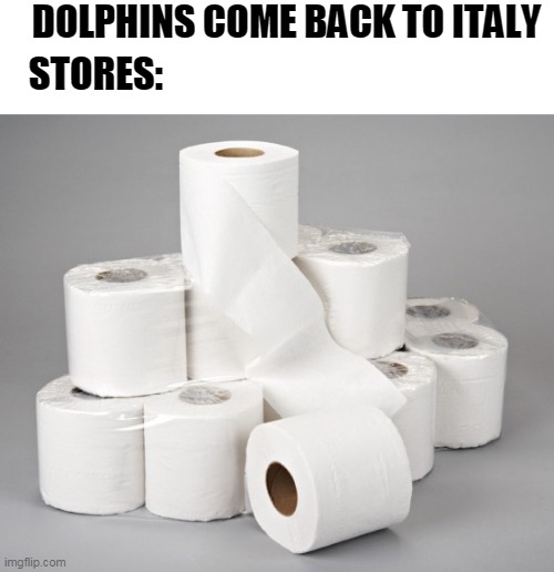 only if it were true | DOLPHINS COME BACK TO ITALY; STORES: | image tagged in toilet paper | made w/ Imgflip meme maker