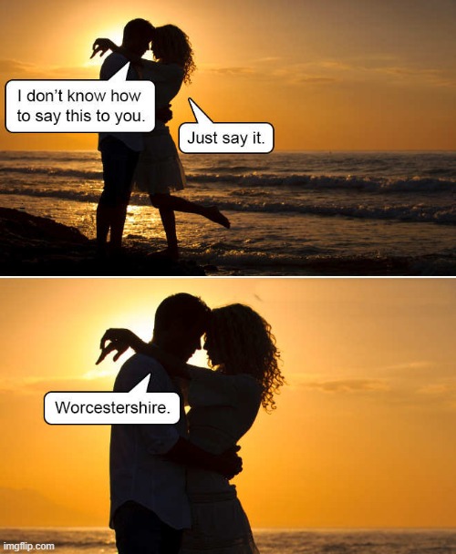 just say it | I DONT KNOW HOW TO SAY THIS TO YOU; JUST SAY IT; WORCESTERSHIRE | image tagged in worcestershire,just say it | made w/ Imgflip meme maker