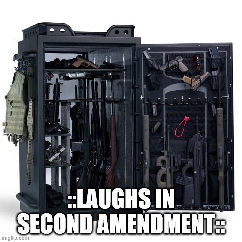 ::LAUGHS IN SECOND AMENDMENT:: | made w/ Imgflip meme maker