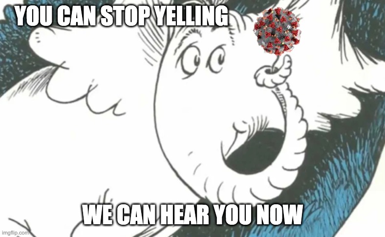 Horton Hears a Covid-19 Molecule | YOU CAN STOP YELLING; WE CAN HEAR YOU NOW | image tagged in horton hears a covid-19 molecule | made w/ Imgflip meme maker