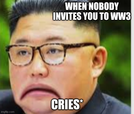 WW3 BE LIKE | WHEN NOBODY INVITES YOU TO WW3; CRIES* | image tagged in funny | made w/ Imgflip meme maker
