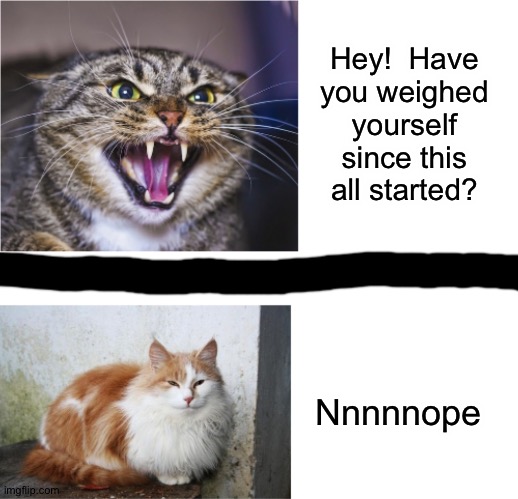 Cat Drake | Hey!  Have you weighed yourself since this all started? Nnnnnope | image tagged in cat drake | made w/ Imgflip meme maker
