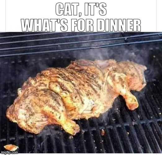 CAT, IT'S WHAT'S FOR DINNER | made w/ Imgflip meme maker