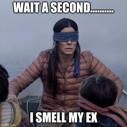 Bird Box Meme | WAIT A SECOND.......... I SMELL MY EX | image tagged in memes,bird box | made w/ Imgflip meme maker