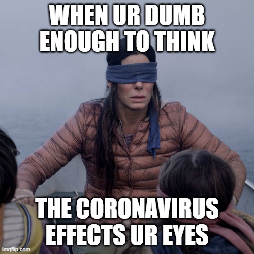 Bird Box Meme | WHEN UR DUMB ENOUGH TO THINK; THE CORONAVIRUS EFFECTS UR EYES | image tagged in memes,bird box | made w/ Imgflip meme maker