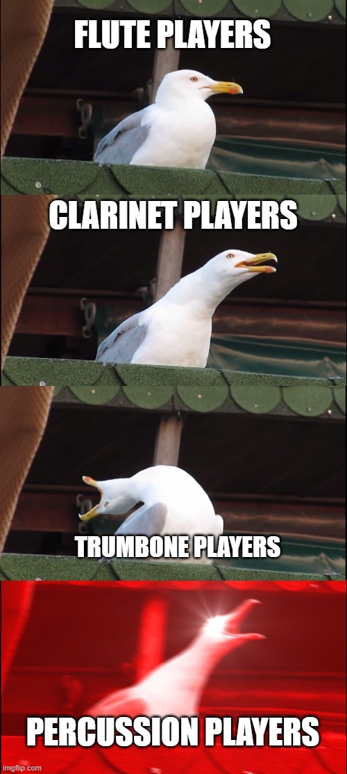 Inhaling Seagull | FLUTE PLAYERS; CLARINET PLAYERS; TRUMBONE PLAYERS; PERCUSSION PLAYERS | image tagged in memes,inhaling seagull | made w/ Imgflip meme maker