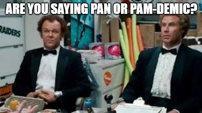 Step Brothers | ARE YOU SAYING PAN OR PAM-DEMIC? | image tagged in step brothers,pandemic,are you saying pan or pam,are you saying pam or pan,pamm,pan | made w/ Imgflip meme maker