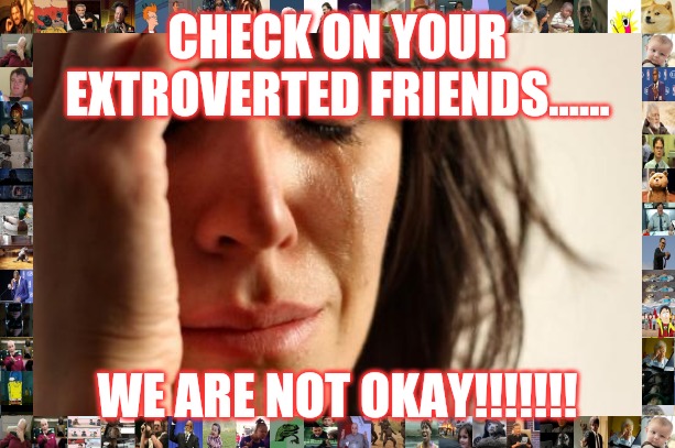 First World Problems Meme | CHECK ON YOUR EXTROVERTED FRIENDS...... WE ARE NOT OKAY!!!!!!! | image tagged in memes,first world problems | made w/ Imgflip meme maker