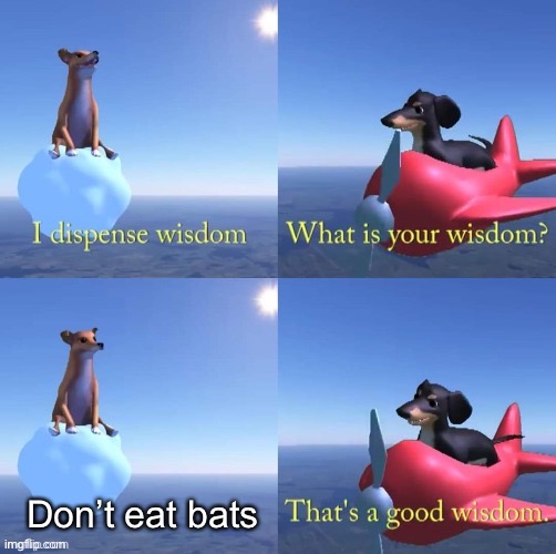 Wisdom dog | Don’t eat bats | image tagged in wisdom dog | made w/ Imgflip meme maker
