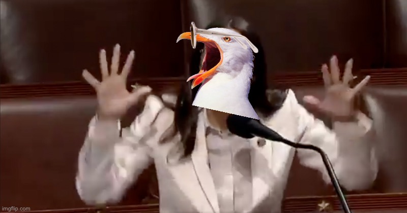 This is what AOC looks like | image tagged in aoc tantrum,memes,face,seagull,angry,look | made w/ Imgflip meme maker