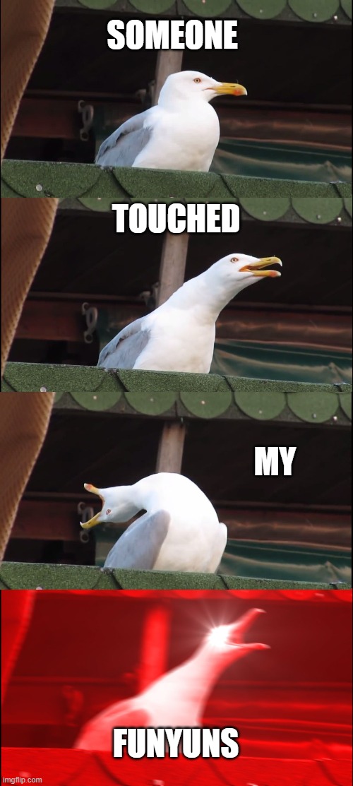 Inhaling Seagull Meme | SOMEONE; TOUCHED; MY; FUNYUNS | image tagged in memes,inhaling seagull | made w/ Imgflip meme maker
