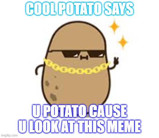COOL POTATO SAYS; U POTATO CAUSE U LOOK AT THIS MEME | image tagged in potato | made w/ Imgflip meme maker