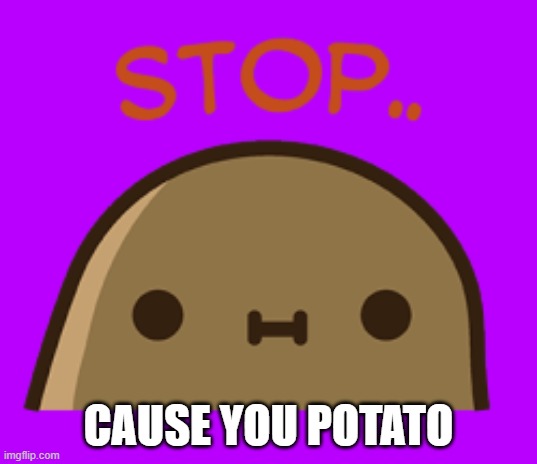 CAUSE YOU POTATO | image tagged in potato | made w/ Imgflip meme maker