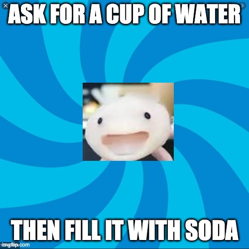Sneaky salamander | ASK FOR A CUP OF WATER; THEN FILL IT WITH SODA | image tagged in funny,original meme | made w/ Imgflip meme maker